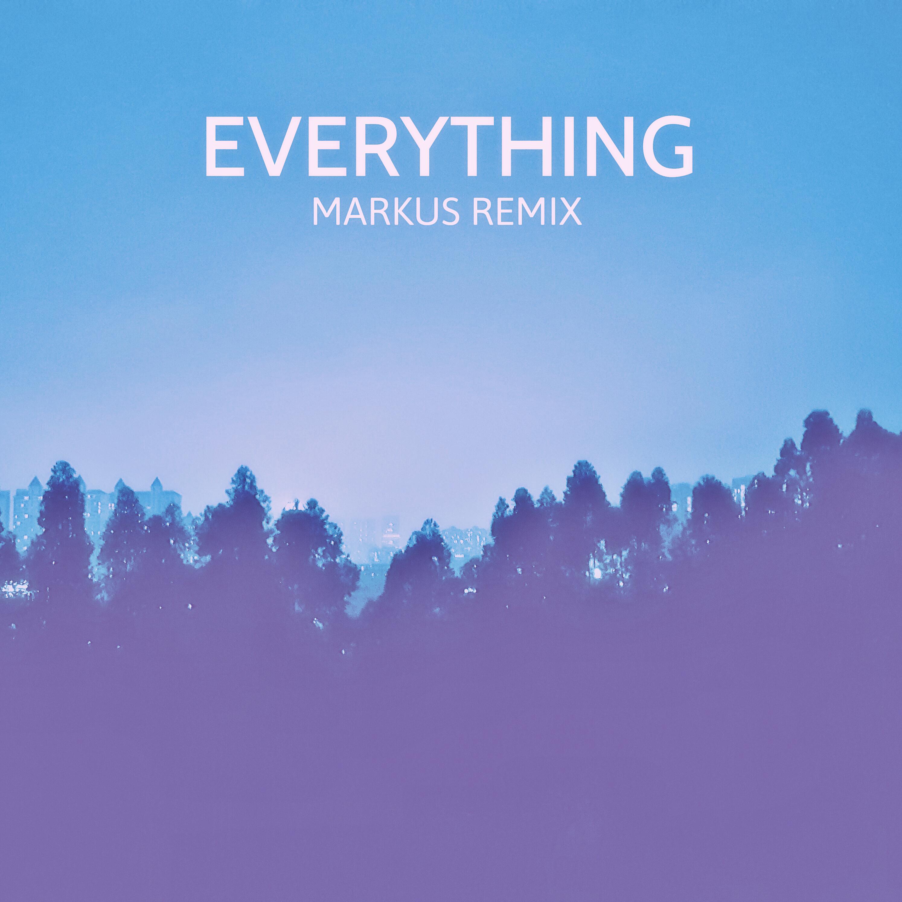 Everything (Marku5 Remix)专辑