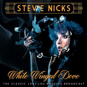 Stevie Nicks - Sara (PT karaoke) 带和声伴奏