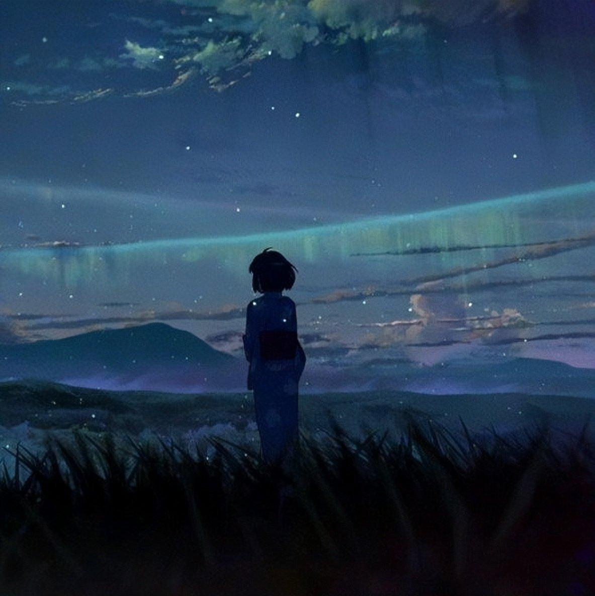 「烟花与流星」绽放天空 | 美丽邂逅
