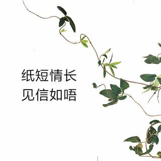纸短情长合集.