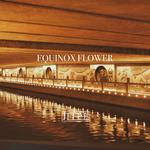 Equinox Flower专辑