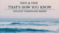That's How You Know (Vincent Ferdinand Remix)专辑