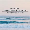 That's How You Know (Vincent Ferdinand Remix)专辑