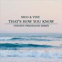 That's How You Know (Vincent Ferdinand Remix)专辑