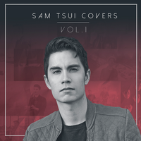 Sam Tsui - Wide Awake (消音版) 带和声伴奏