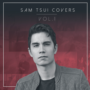 Sam Tsui - Call Me Maybe (消音版) 带和声伴奏 （降8半音）