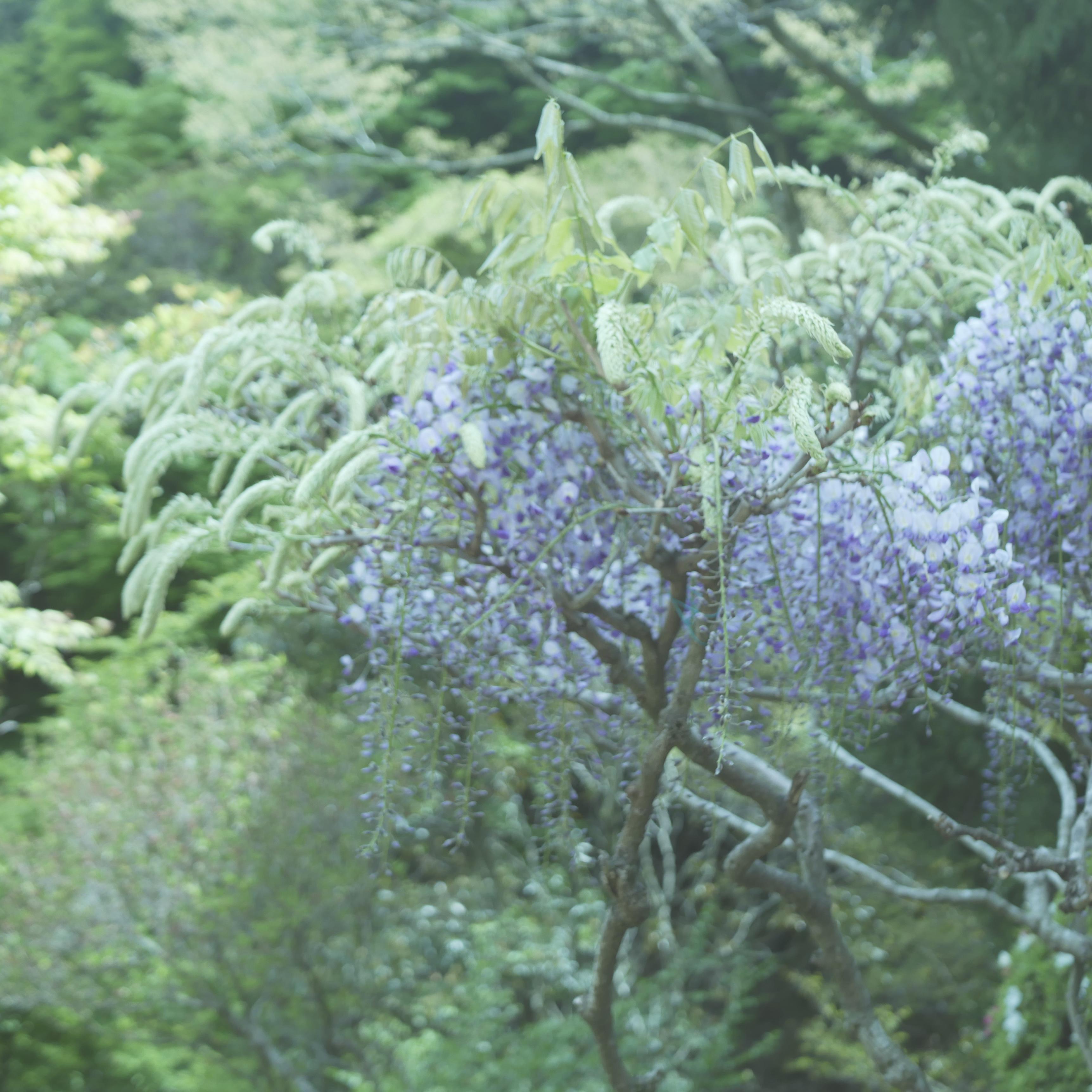 Day Without Daylight