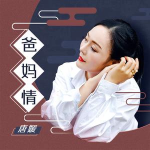 刘萍 - 爸妈情(原版立体声伴奏) （降1半音）