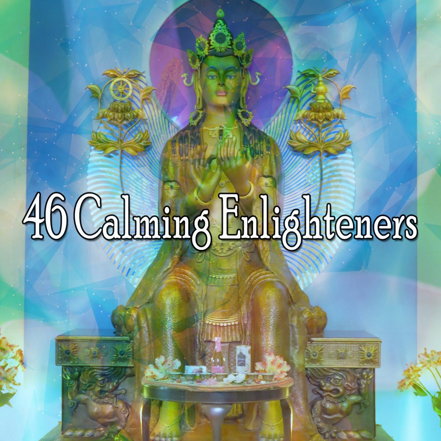 46 Calming Enlighteners专辑