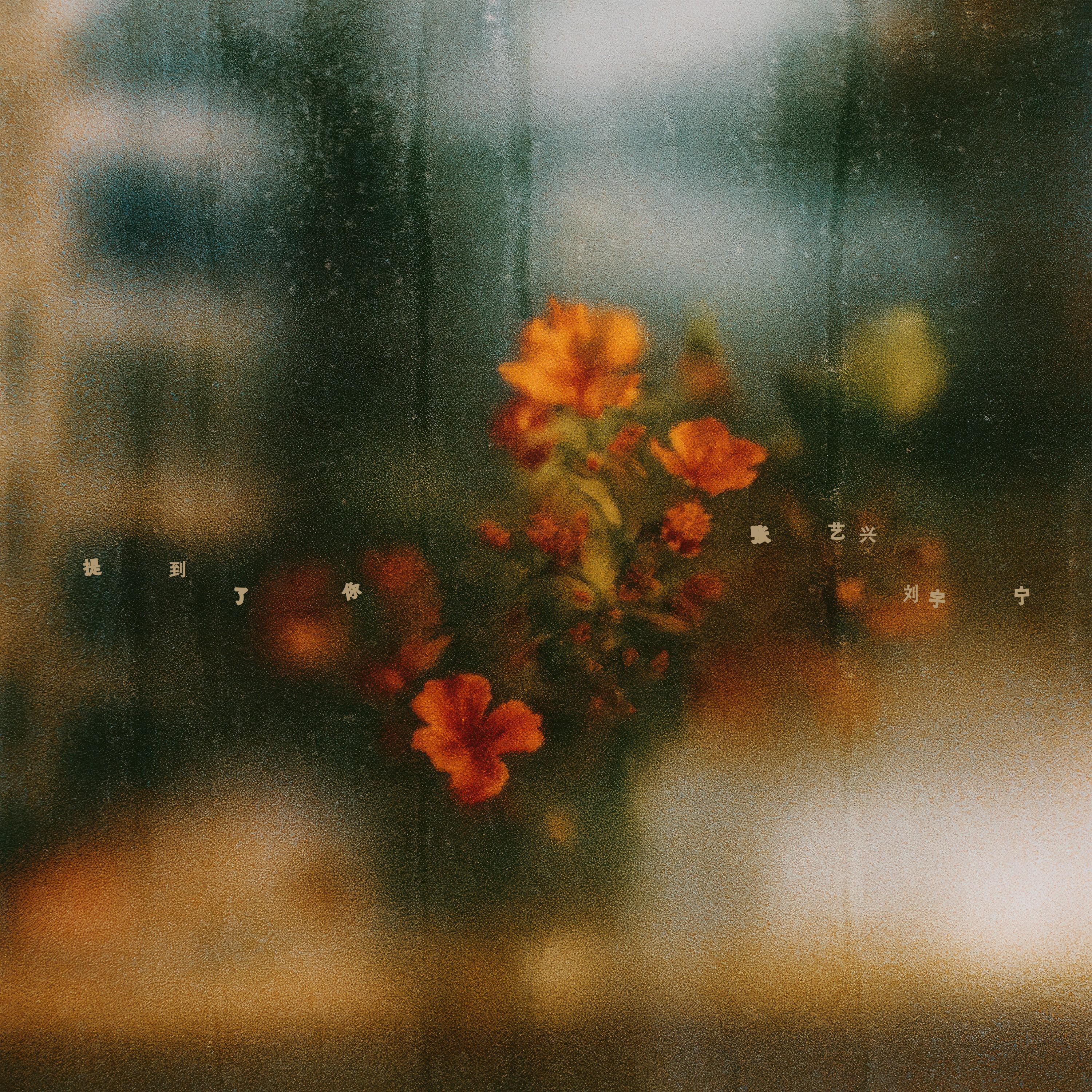 刘宇宁-《提到了你 (with 刘宇宁)》