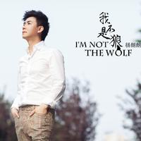 杨朗朗 - 我不是狼