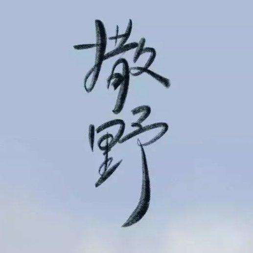 撒野钢琴曲专场！！