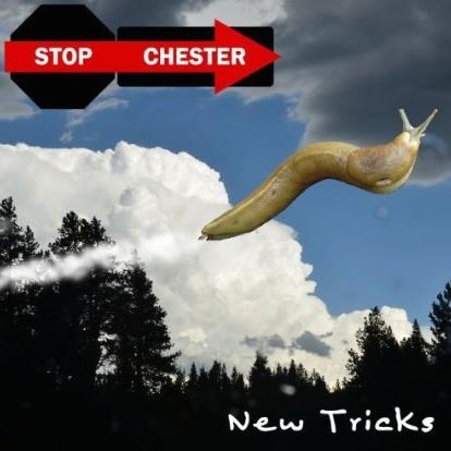 New Tricks