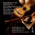 Chamber Music - HAYDN, J. / RODE, J.P. / GIULIANI, M. / CARULLI, F. (A. Maruri, Beikircher, Horejsi,