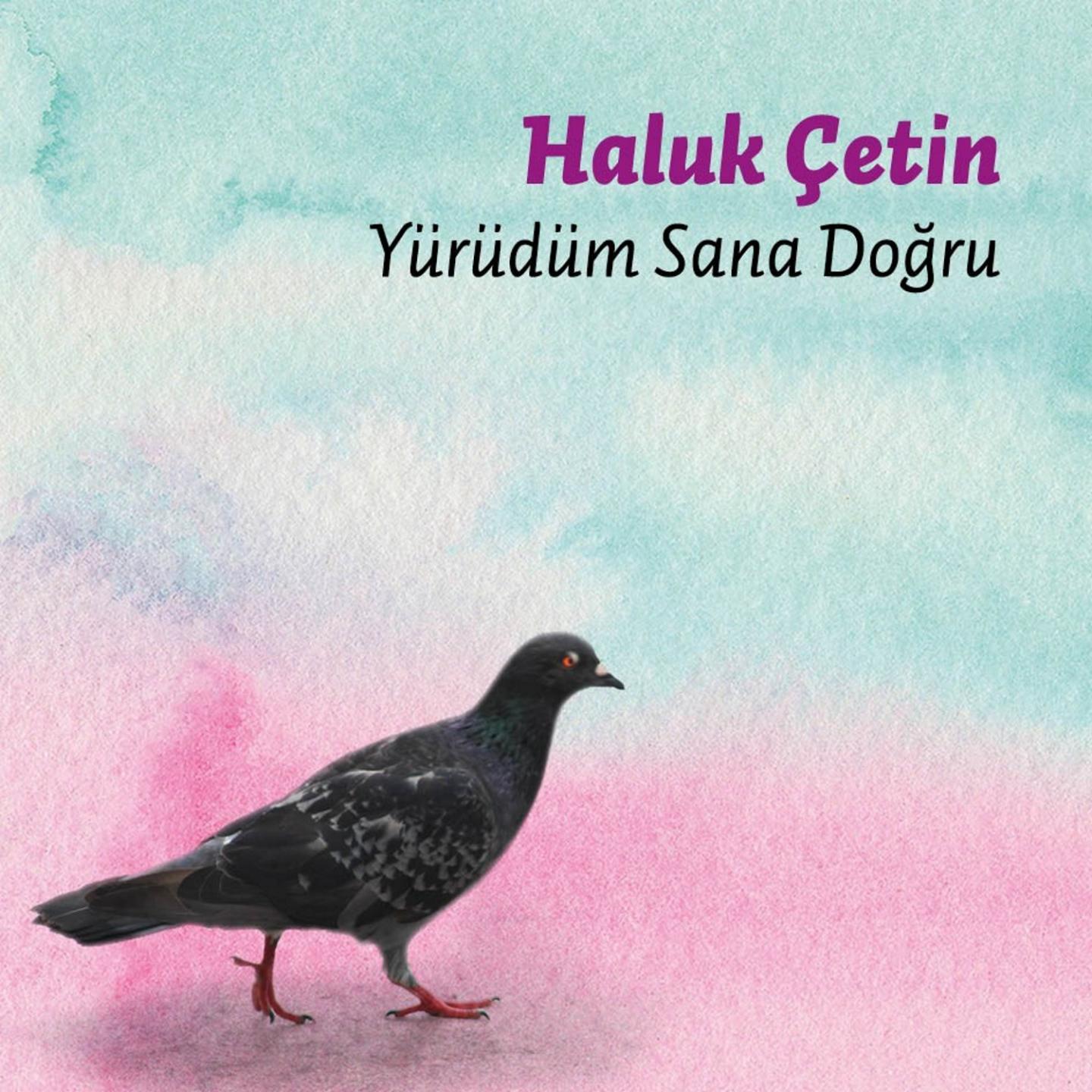 Yürüdüm Sana Doğru专辑