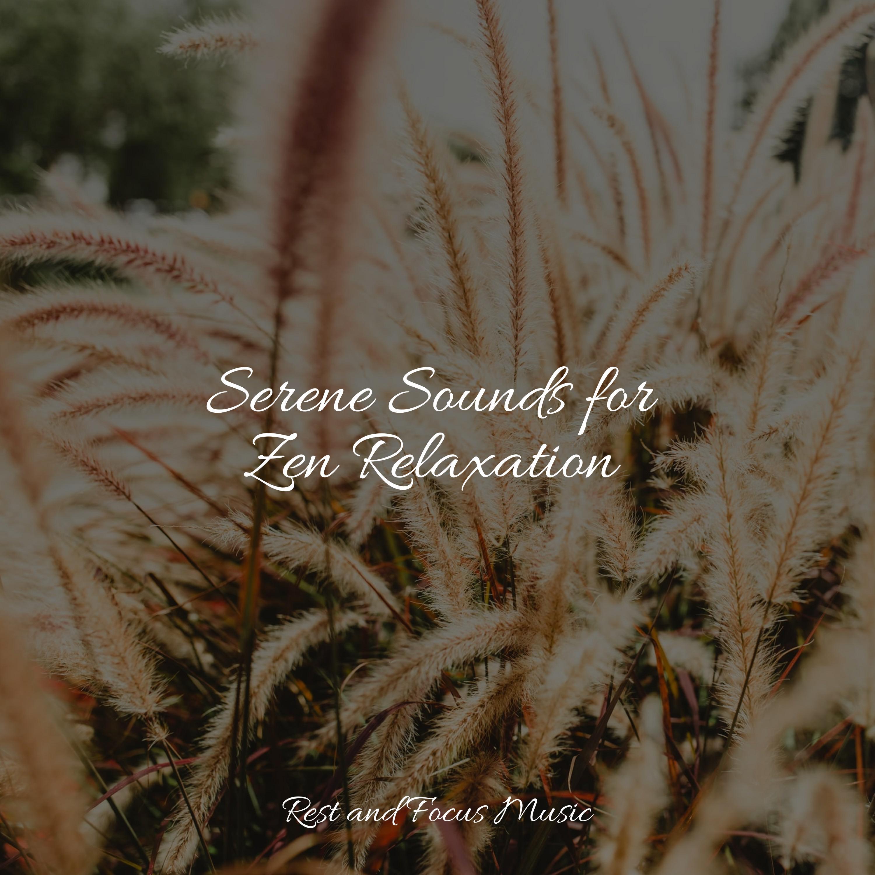 Serene Sounds for Zen Relaxation