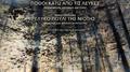 Pothοi Kato Apo Tis Lefkes / Glyko Pouli Tis Niotis (Soundtrack from the Theatrical Plays)专辑