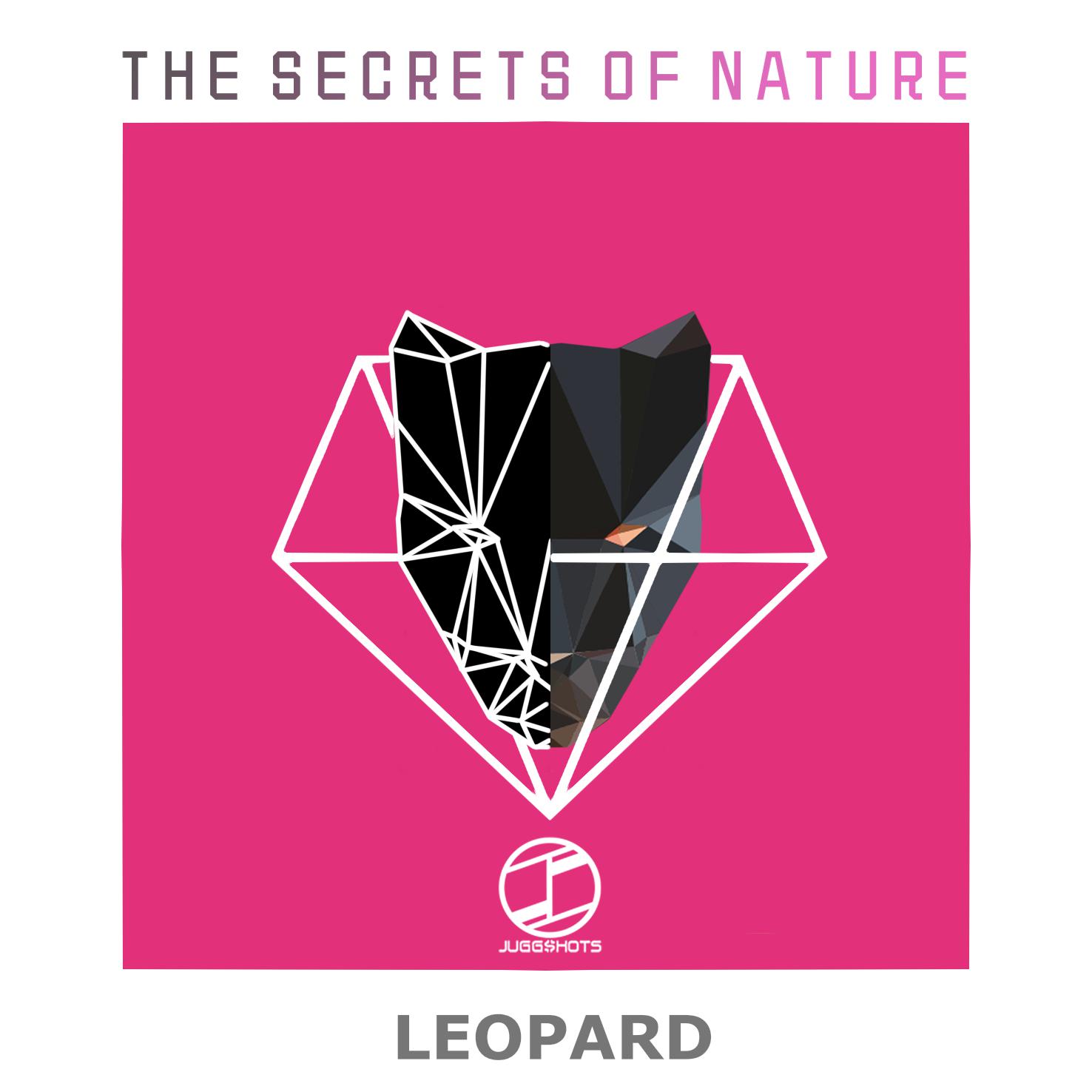 Leopard(Original Mix)专辑