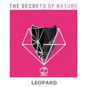 Leopard(Original Mix)专辑