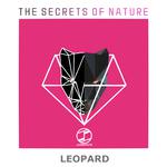 Leopard(Original Mix)