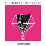 Leopard(Original Mix)专辑