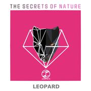 Leopard(Original Mix)