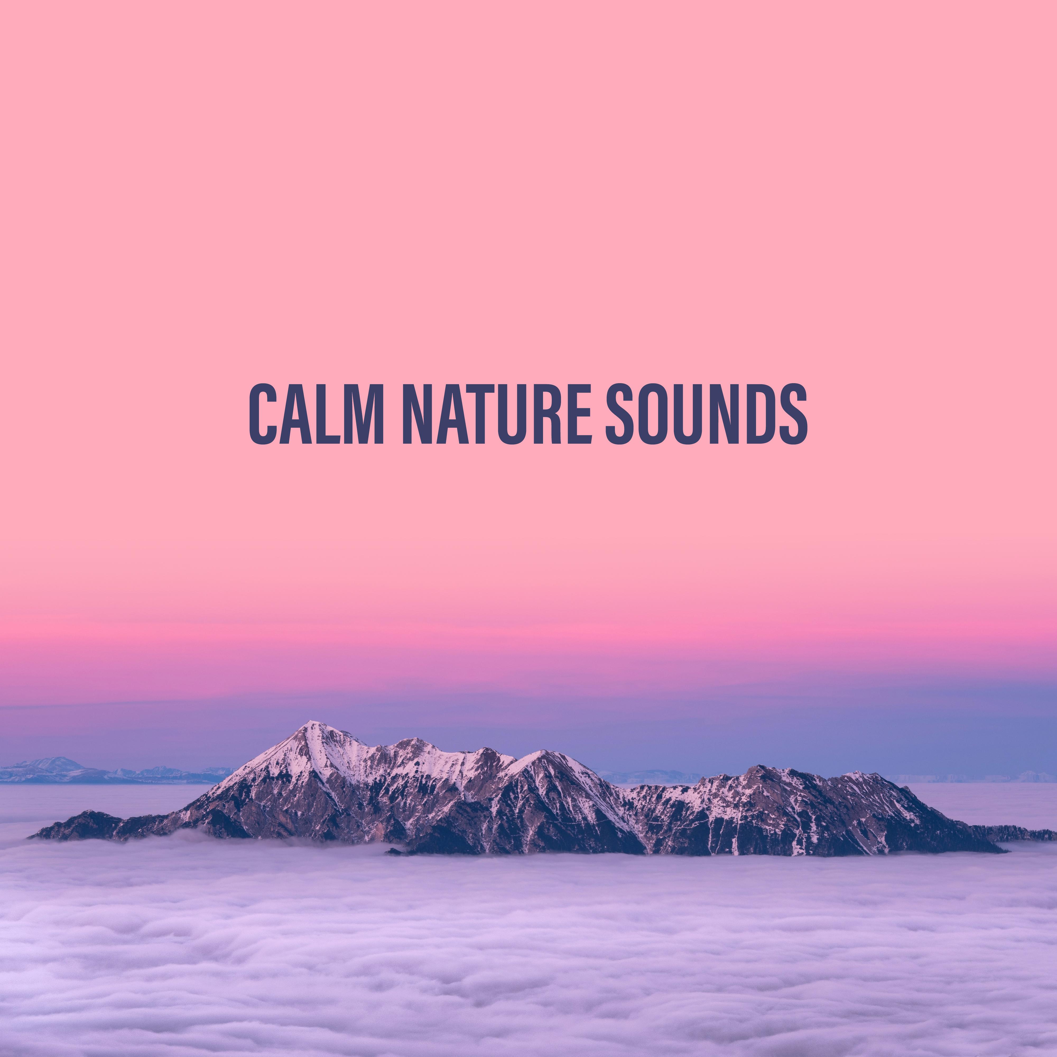 Calm Nature Sounds专辑