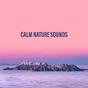 Calm Nature Sounds专辑