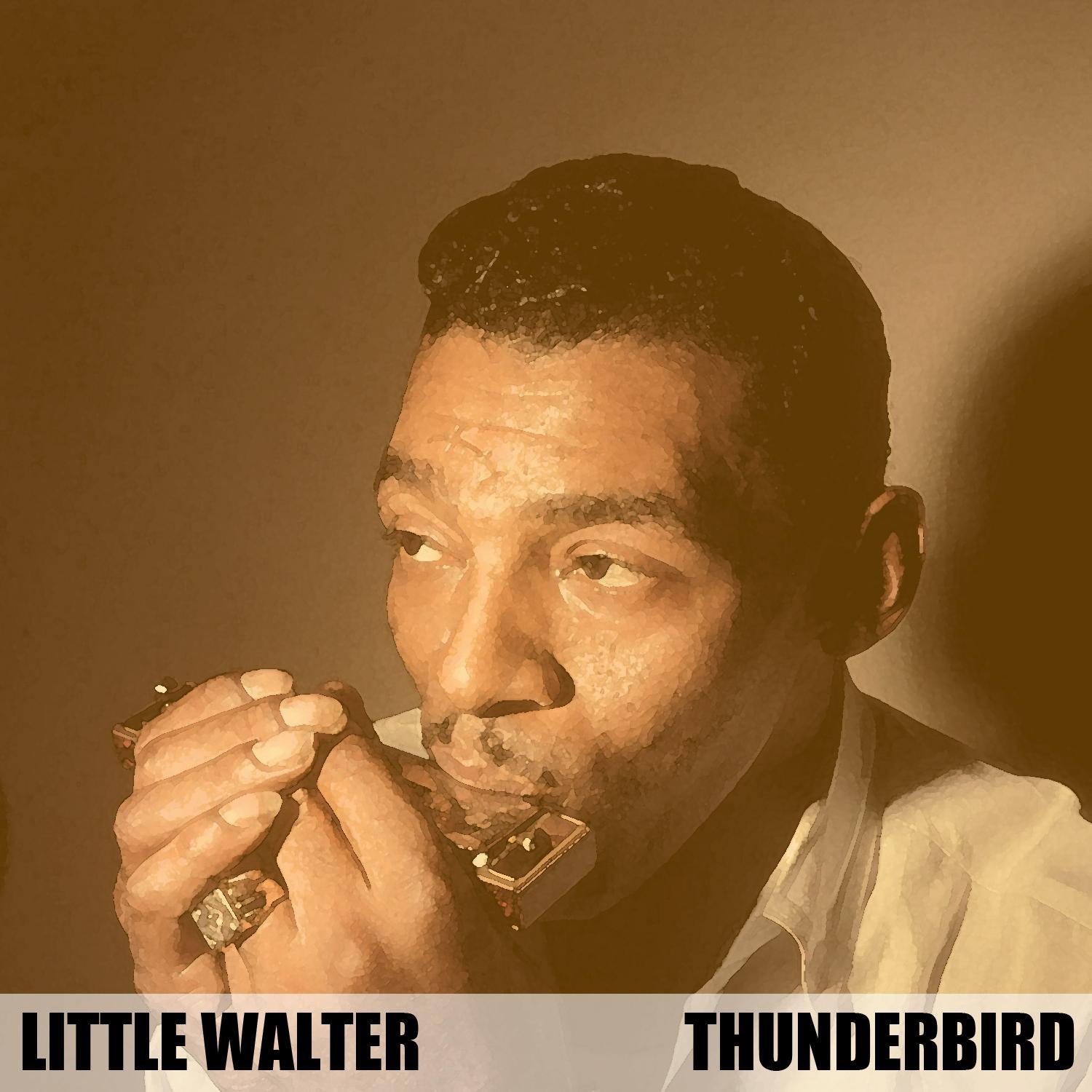 Thunderbird