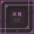 寻麓 (ZTYick Remix)