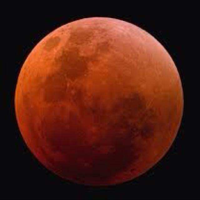 Fly me to the moon