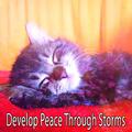 Develop Peace Through Storms