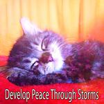 Develop Peace Through Storms专辑