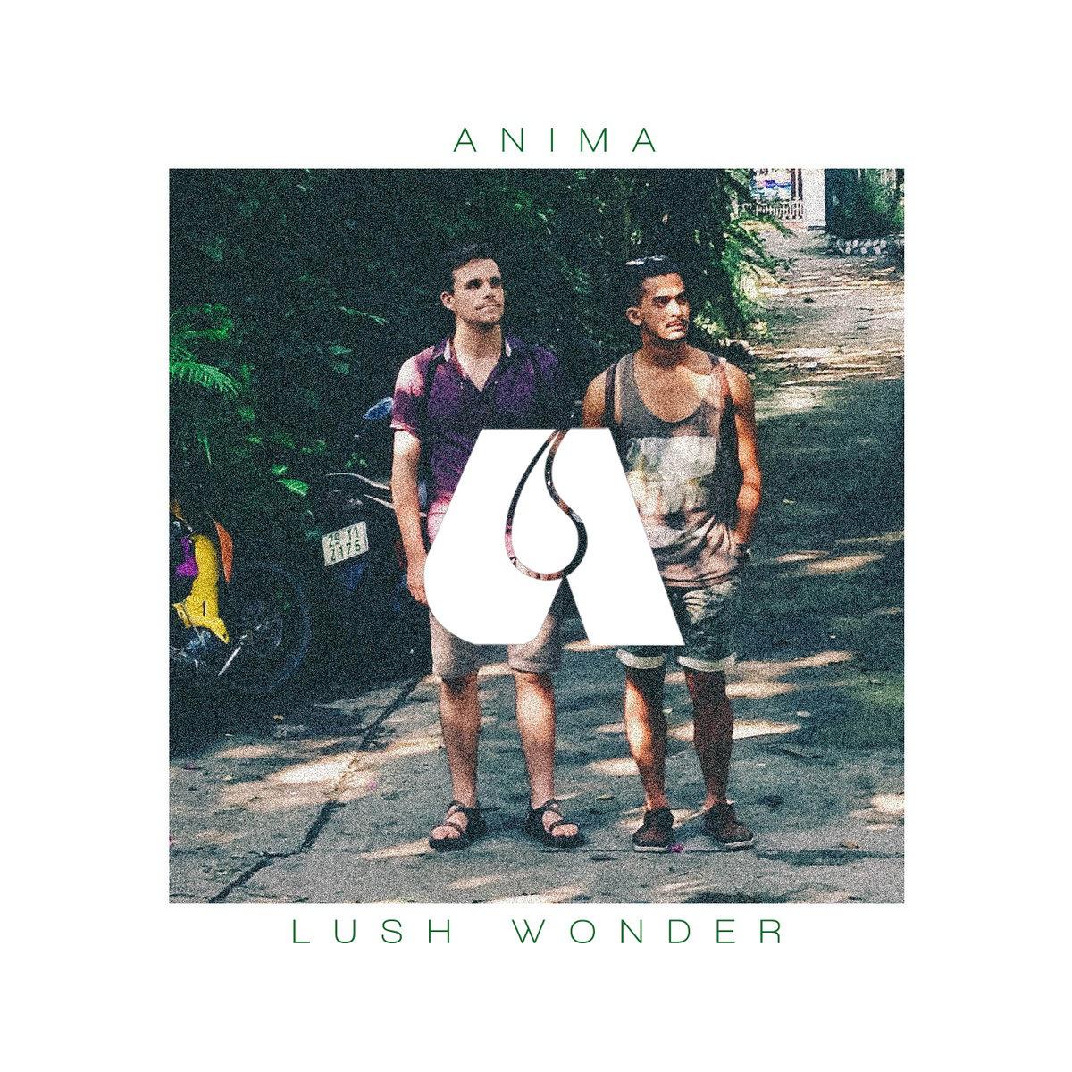 Lush Wonder专辑