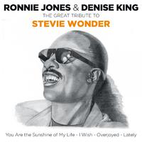 Stevie Wonder - All Is Fair In Love (karaoke)