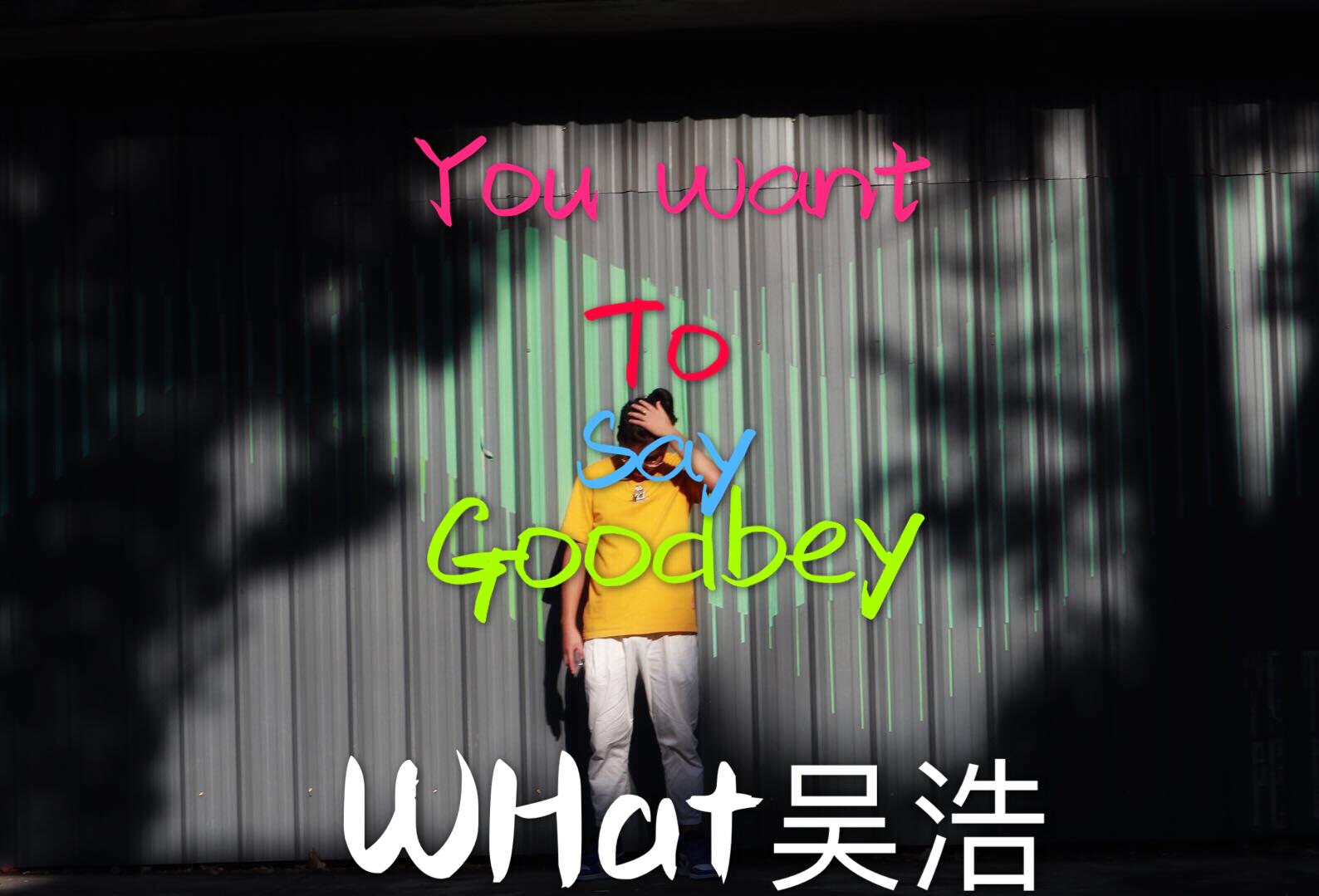 You want to say goodbey专辑