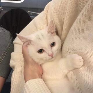 【不饶舌怎么舌吻】