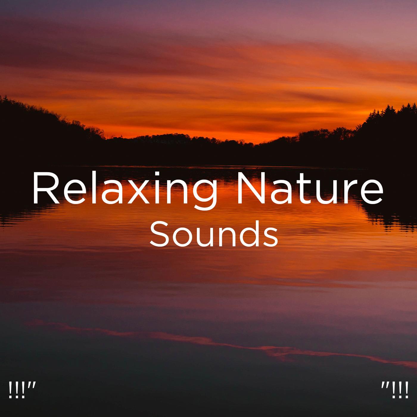 !!!" Relaxing Nature Sounds "!!!