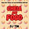 Dj Tiim - Cheia de Fogo (feat. Mc Th, MC Fabinho da Osk, Mc Joyce & Dj Tim)
