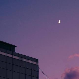 告白之夜｜和你做尽极致浪漫的事