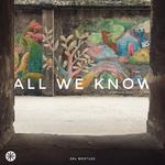 All We Know（zkl Bootleg）专辑