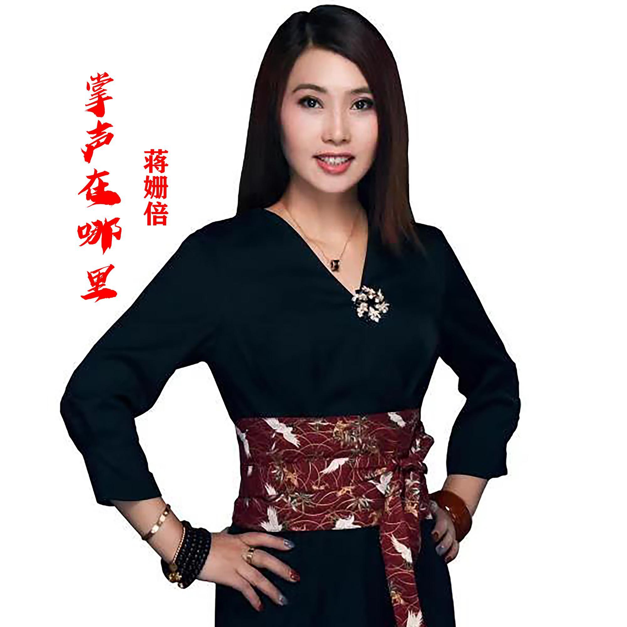 掌声在哪里 (DJ版)