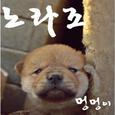 멍멍이