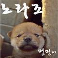 멍멍이