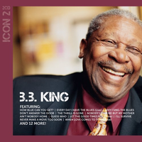 B.B. King - Hummingbird (Karaoke Version) 带和声伴奏
