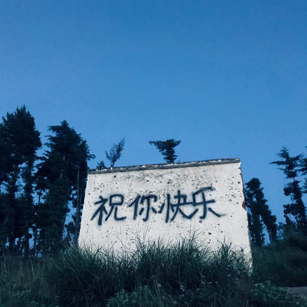 生活不能给你带来诗