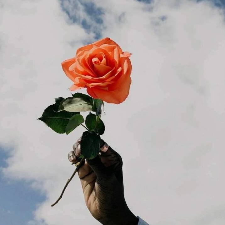 Nim Kun Bu Maga(吉他)