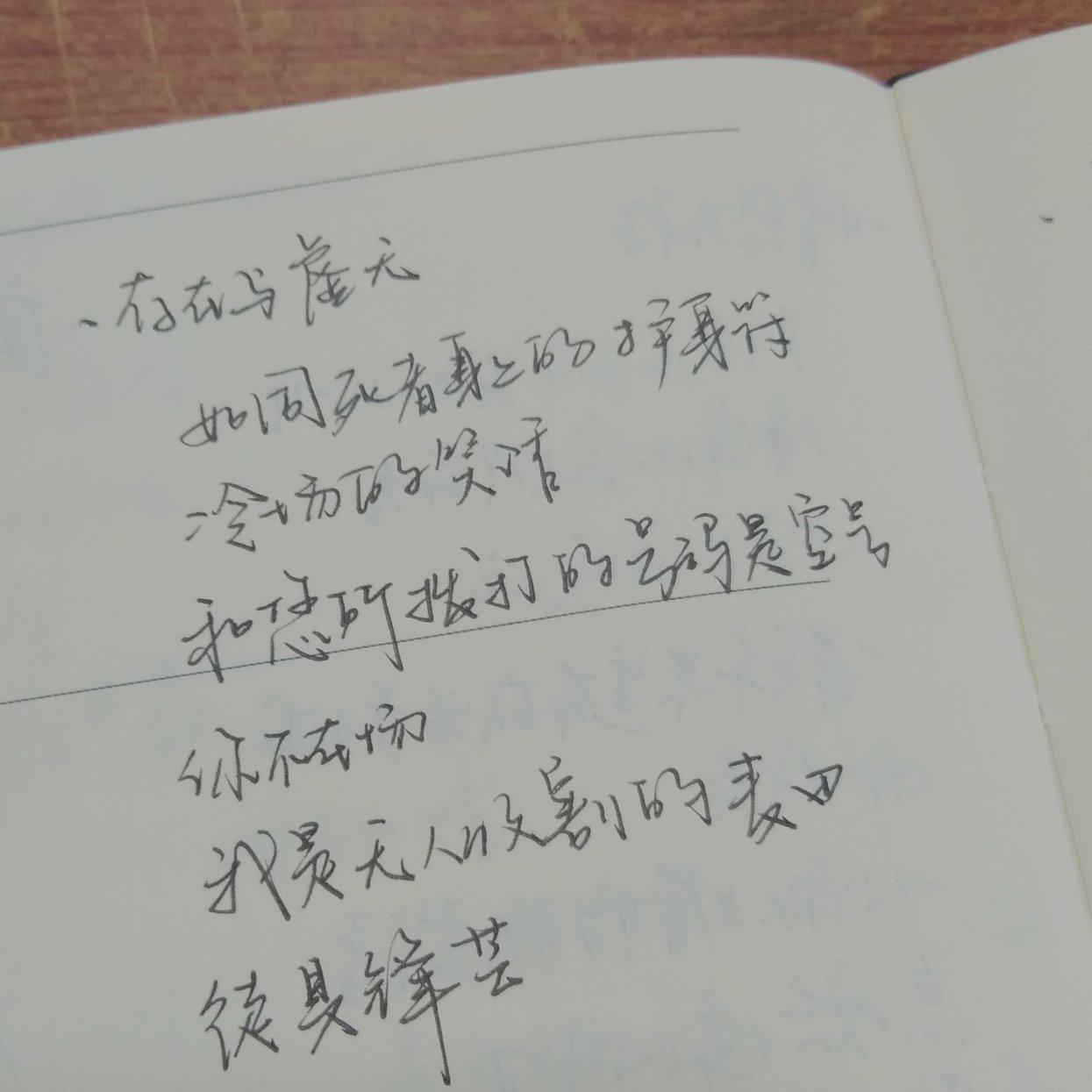 乘坐甜梅号进入南方蝶道