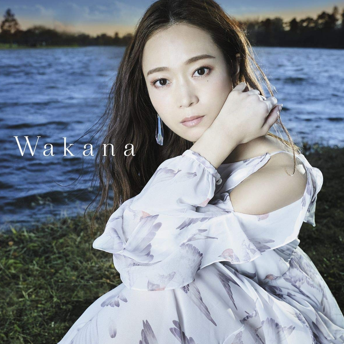 记忆の人 - wakana - 单曲 - 网易云音乐