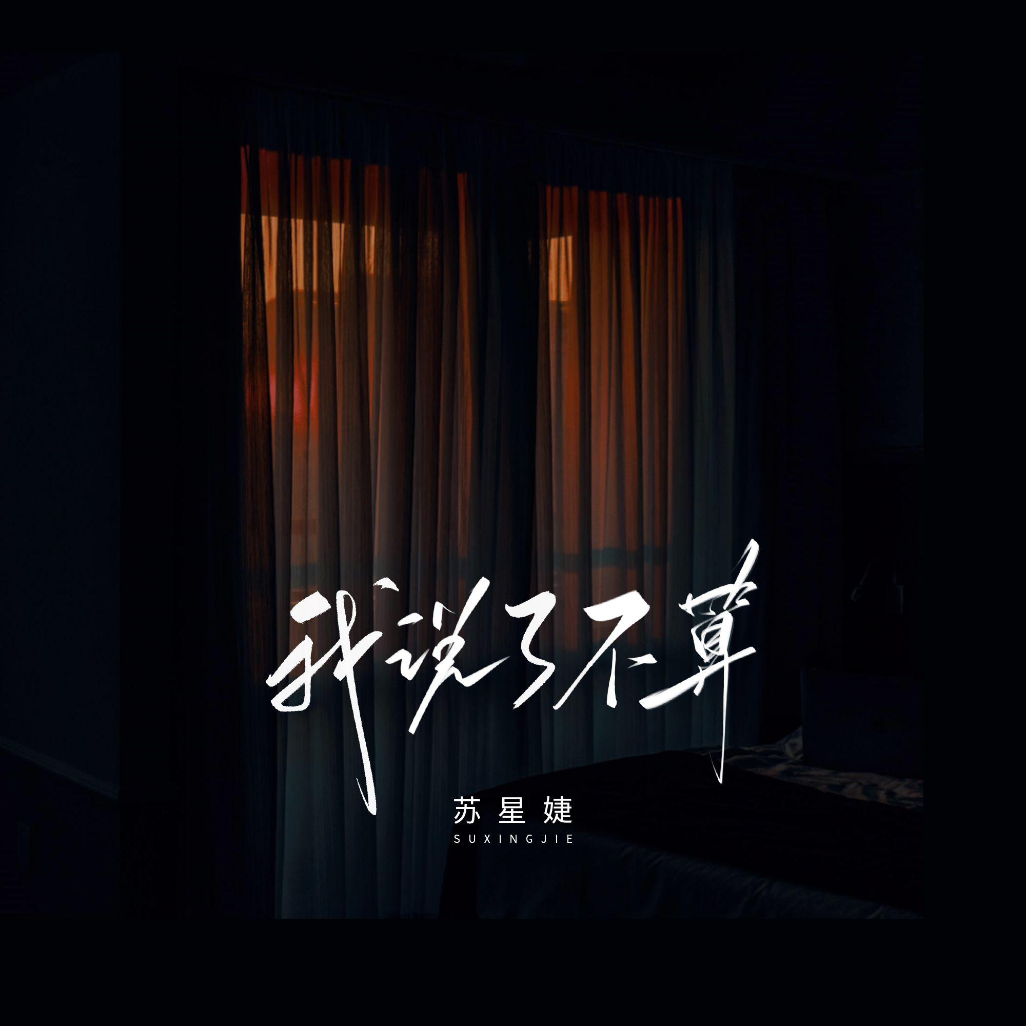 我说了不算